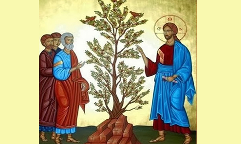 Học hỏi Phúc Âm Chúa nhật XXVII thường niên - năm C